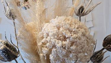 L'Atypique des Remparts - Foto 4