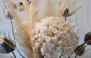 L'Atypique des Remparts - Foto 4