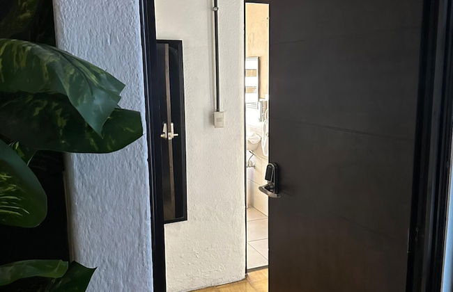 Amaya Centro Historico - Foto 16