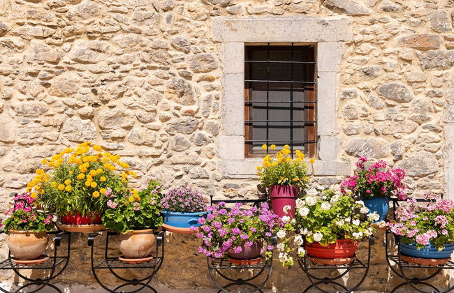 Metohi Nature Living - Foto 53