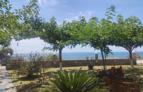 Sun N Sand - Foto 38