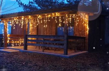 Zielenina Leśny Domek - Foto 33