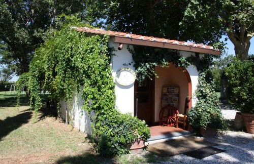 Agriturismo La Pisana - Foto 119