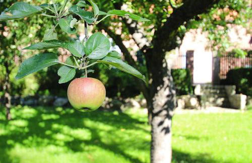 Ferienhaus Rosenhof in Lenzen - Foto 47