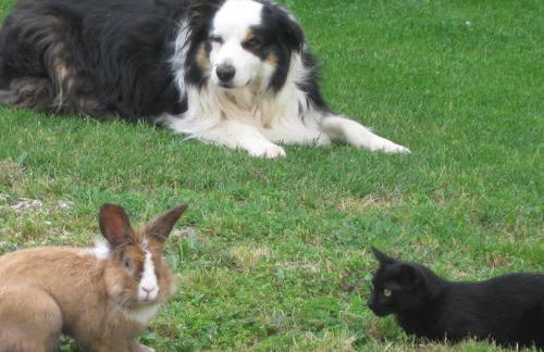 Agriturismo Campagnoletto - Foto 47