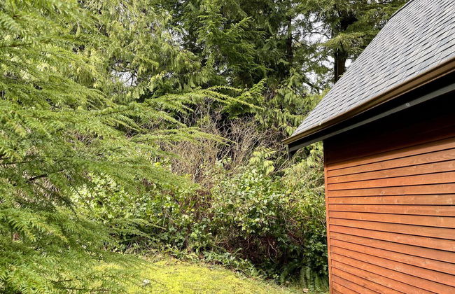 Love Shack - Photo 34