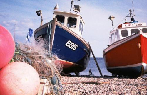 Ottery St Mary Cottages - Foto 13