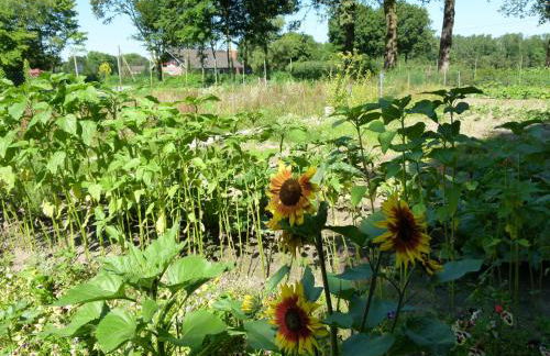 Gästehaus Grunewald Bed & Breakfast - Foto 66