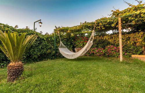 Annlexander - Photo 45