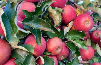 Apartment BLICKinsGRUEN by Interhome - Foto 48