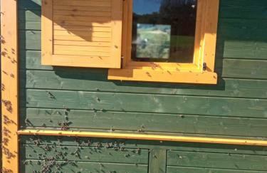 Agroturystyka Jak Makiem Zasiał Dworki 10 - Foto 58