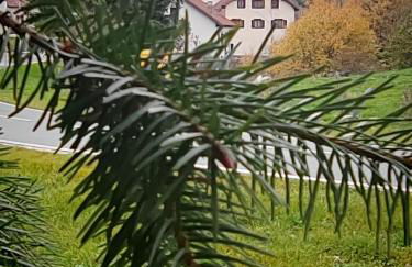 Apartamentos Goizeder - Foto 5