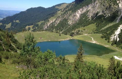 Ferienwohnungen Leiner - Foto 22