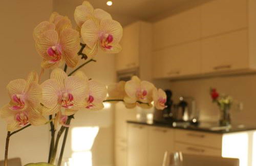 Baumanns Landhaus Durbach - Foto 9