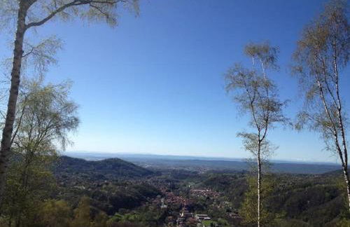 Agriturismo l'Arbo - Foto 7