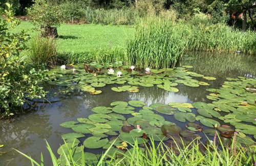 Ferienhaus Maar - Foto 25