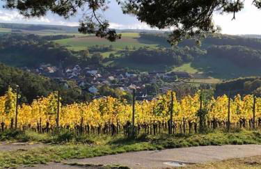 Einliegerwohnung in Gissigheim - Foto 14