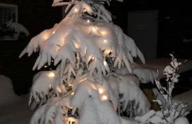 Ferienwohnung Ohmeis - Photo 14