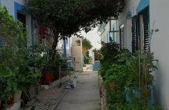 Edifício Tomás - Foto 33