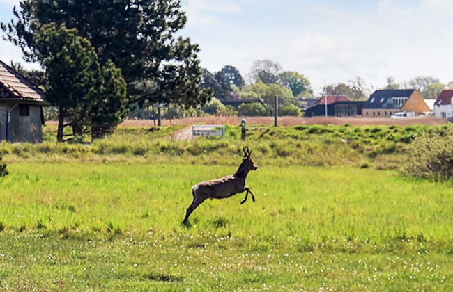 2-room Holiday Home in Karrebaeksminde - Foto 13