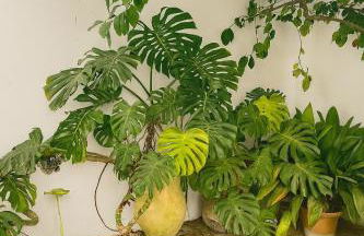 Un Tesoro en el Corazón de Cordoba & Free Parking - Foto 21