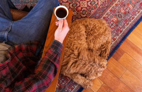 Charming Vacation Rental in the Heart of South Park near Fairplay, Colorado - Foto 21