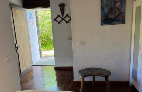 Dos Violetas - Foto 26