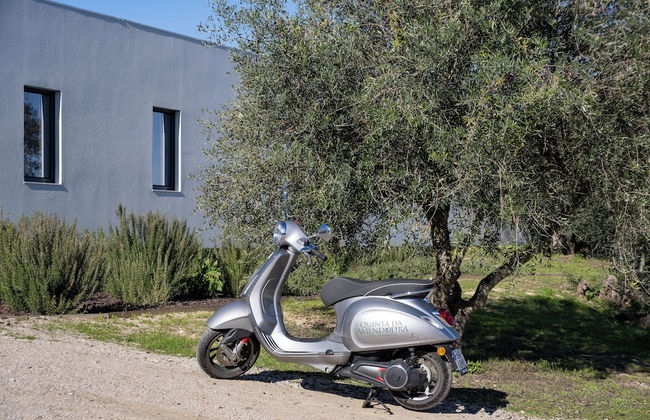 Quinta da Amendoeira - The Farmhouse - Foto 36