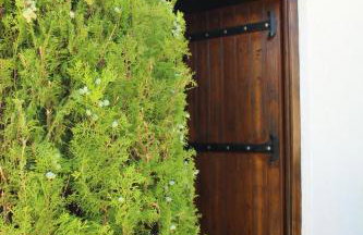 Kefalonian Mill - Oneira Villas - Foto 15
