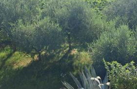 Tesoro Nascosto-Franciacorta UP - Foto 33