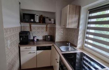 Ferienwohnung Umkreis Sankt Englmar mit vielen Freizeitattraktionen - Foto 17