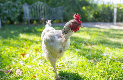 "Les Hauts du Marquet" - Meublé de tourisme 5 Etoiles - Gîte de groupe 15 Personnes en Cévennes - Piscine à débordement - Balnéo - Sauna - Nature - Foto 70