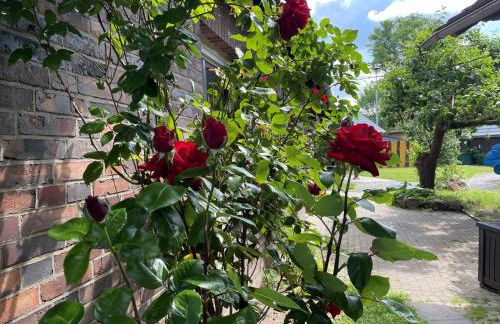 Lehdsche Heubuchten - Foto 72