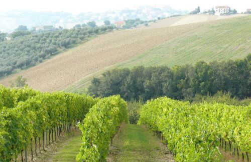 Agriturismo Al Rifugio DiVino - Foto 62