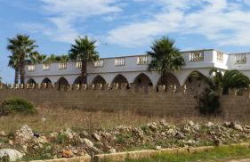 Michelle House - Foto 35