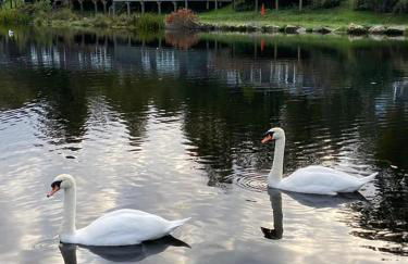 92 Lake View - Photo 10