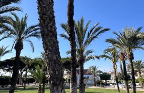 Apartamento Agua Rosa - Foto 5