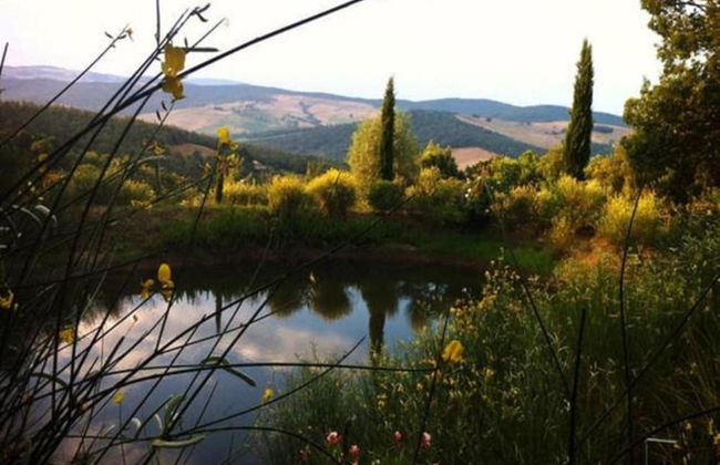 Cozy Stay With Scenic Views - Foto 34