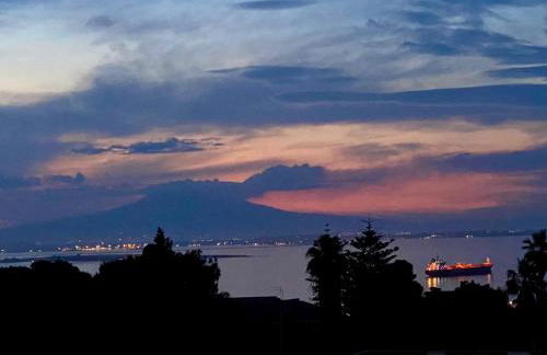 A Ficu Pala - Foto 20