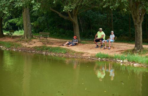 Jellystone Mammoth Cave - Foto 15