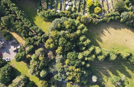 Beautiful cottage in Brentwood - Foto 64