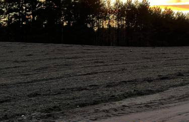 Raj na Kaszubach - Pałubicka Bór - Domy na Wynajem - Foto 53