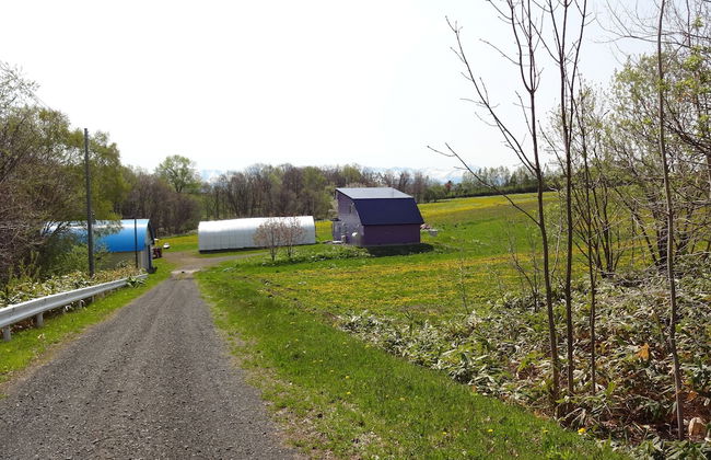 Cottage Ken&Mary - Foto 23