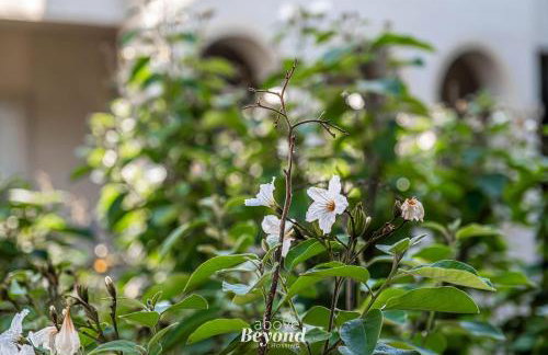 Kiki on the Lake - Foto 57