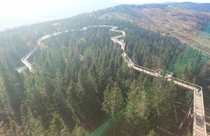 Apartamenty u Grażyny - Foto 31