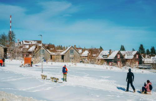 Ferienhäuser im Torfhaus Harzresort, Torfhaus - Foto 7