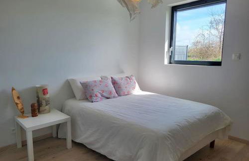 Gîte coquet et coloré au Conquet - Foto 20