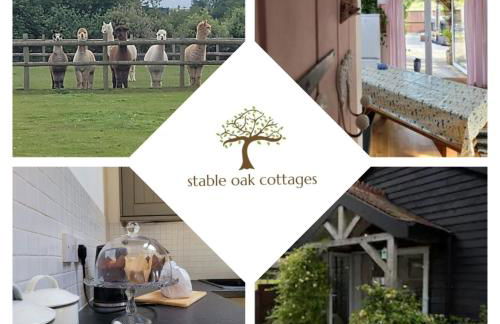 Oak Cottage with private log fired hot tub - Foto 1