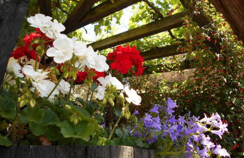 Apartamentos Samelar - Foto 68