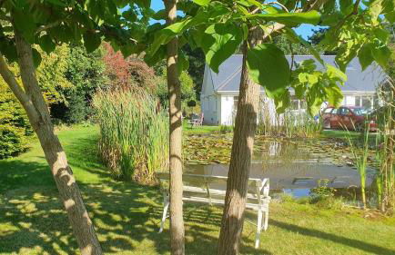 Large private home with small lake and garden - Photo 41
